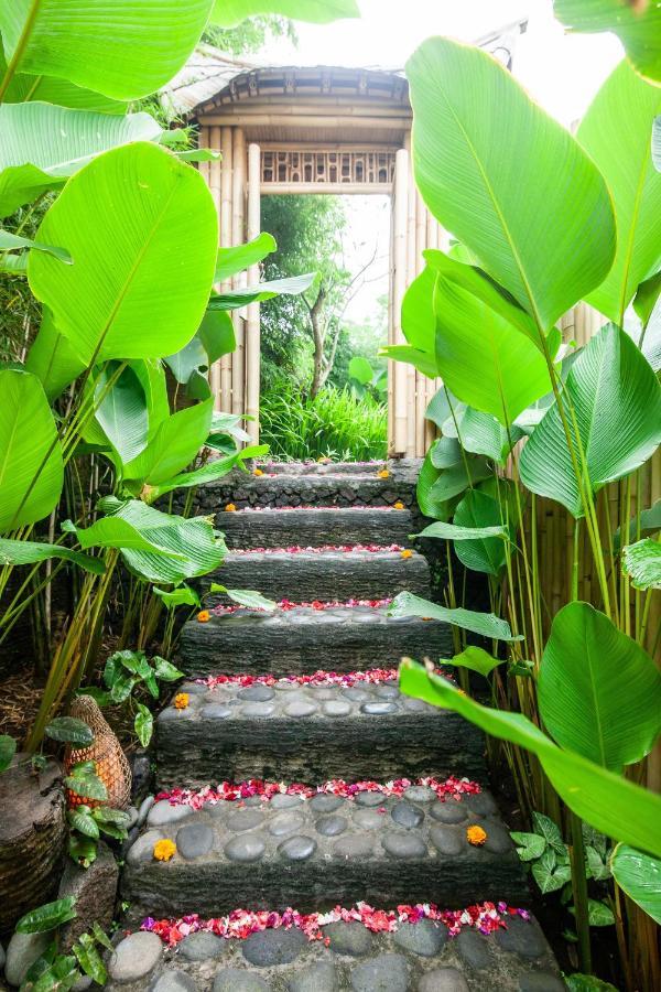 Вілла Balikayanas Bamboo House - Miggiell House Каранґасем Екстер'єр фото